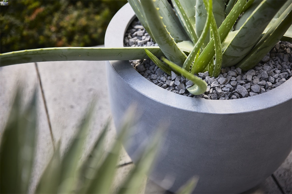 Argento New Egg Pot 36