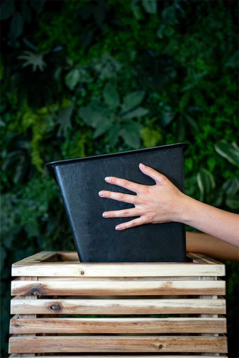 Marrone Orizzontale Box 100