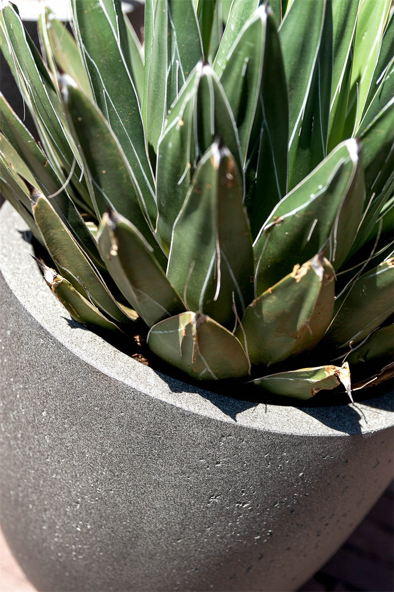 Grigio Egg Pot 40 Betong