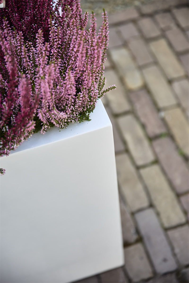 Argento Small Box 60