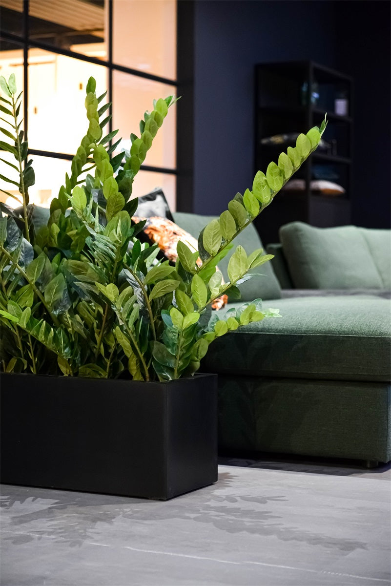 Argento Small Box 100