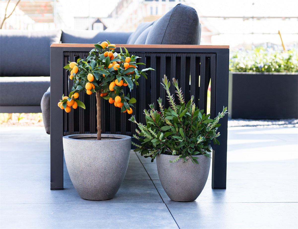 Grigio Egg Pot 50 Betong