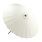 Palmetto Umbrella