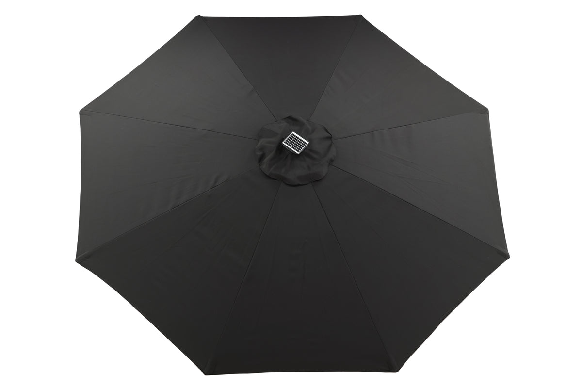 Sabal Umbrella