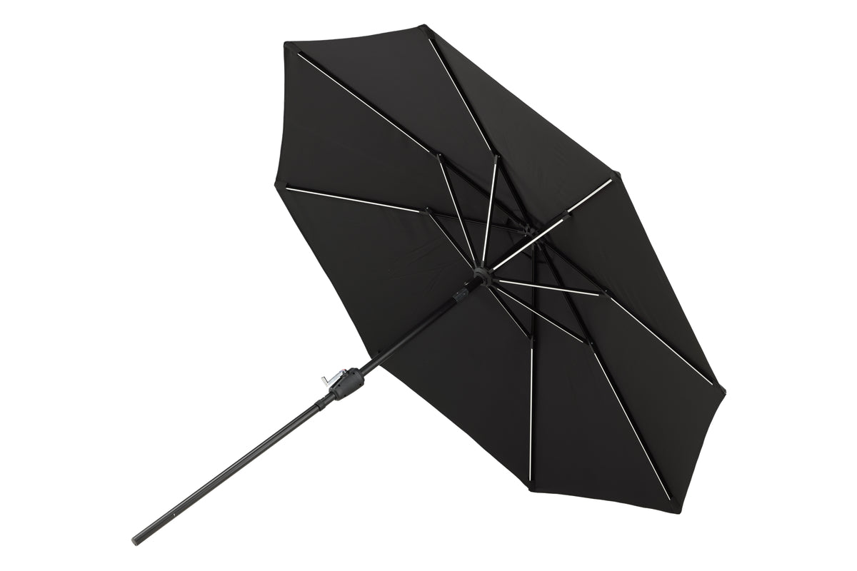 Sabal Umbrella