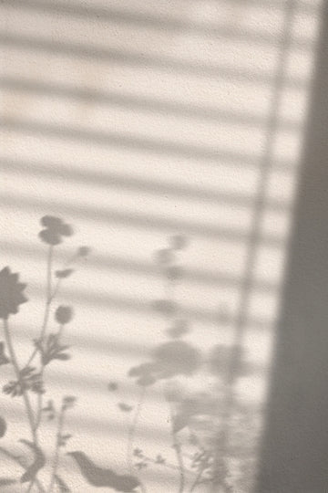 Flower Shadow Poster