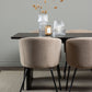 Dining Set Vail with the chairs Berit - Pakke med 8