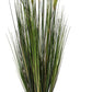 Foxtail Gressplante 90cm