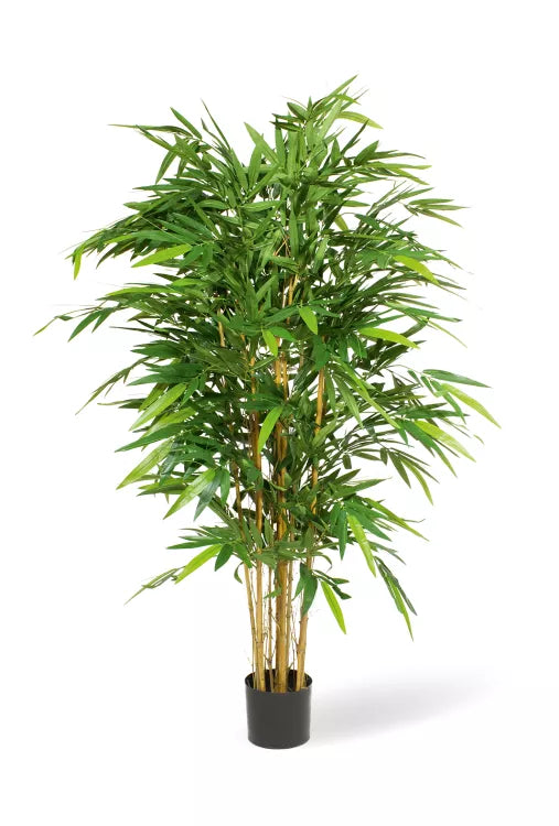 Bamboo Deluxe 150cm